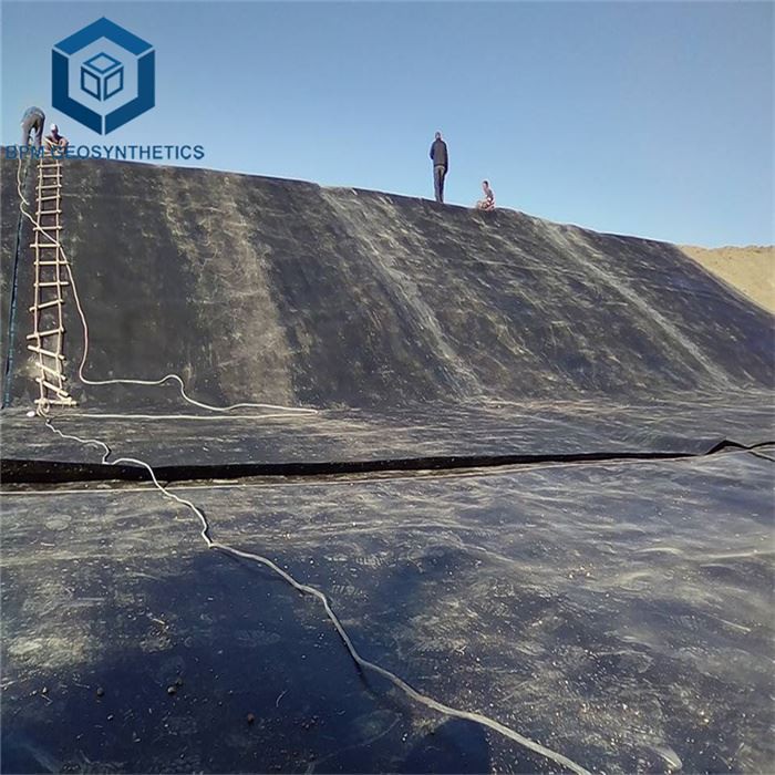 HDPE Landfill Dam Fish Farm Geomembrane Pond Liner